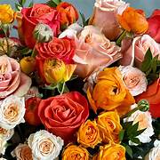Loker JUNIOR FLORIST FULLTIME